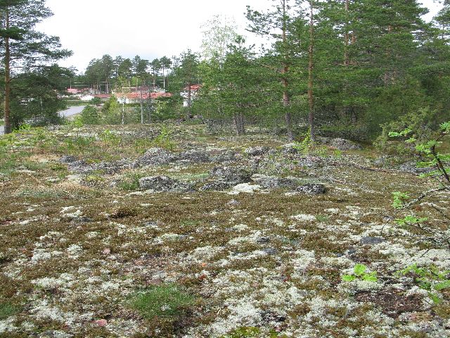 Kuva: Väärämäen röykkiöalue Tanja Tenhunen 8.5.2008