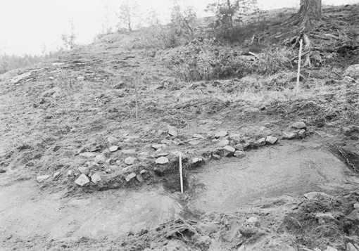 Kuva: Kaivausalue 7. Kiviladelman profiili kuvattuna kaakosta. Mittatikun pituus 35 cm. Esko Sarasmo 1939