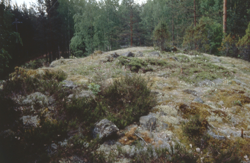 Kuva: Kitulansuon lapinrauniokohde C Helena Taskinen 1993