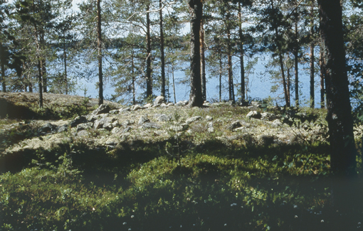 Kuva: Lapinraunio Helena Taskinen 1998