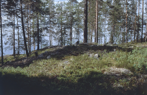 Kuva: Lapinraunio Helena Taskinen 1998