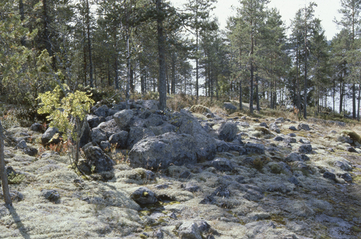 Kuva: Metelinkallion röykkiö 8. Anne Vikkula 1982