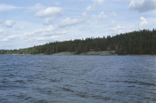 Kuva: Yleiskuva röykkiöalueesta. Kuvattu Metelinniemen kärjestä. Anne Vikkula 1982