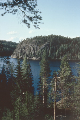 Kuva: Yleisnäkymä Pisamalahden linnavuorelle Linnavirran eteläpuolelta. Matti Bergström 1983