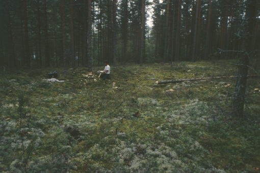 Kuva: Asumuspainanne 2. Paikalta on raivattu puusto ennen tutkimuksien alkua. Kaarlo Katiskoski 1998