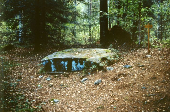 Kuva: Pirunpöydän kuppikivi. Helena Taskinen 1997