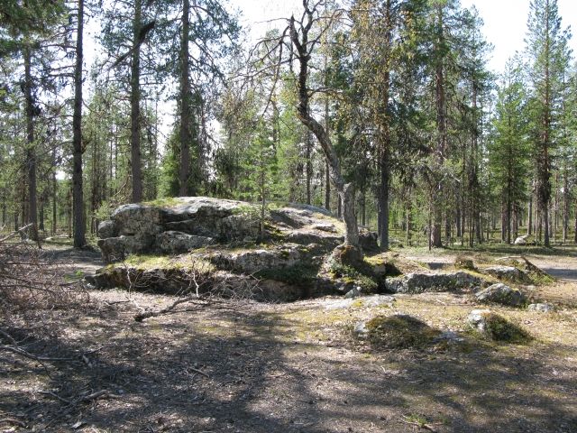 Kuva:  Sirkka-Liisa Seppälä 2008