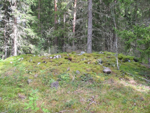 Kuva: Rautakautinen hautaröykkiö Nisseshagenin muinaisjäännösalueella Kaisa Lehtonen 2008