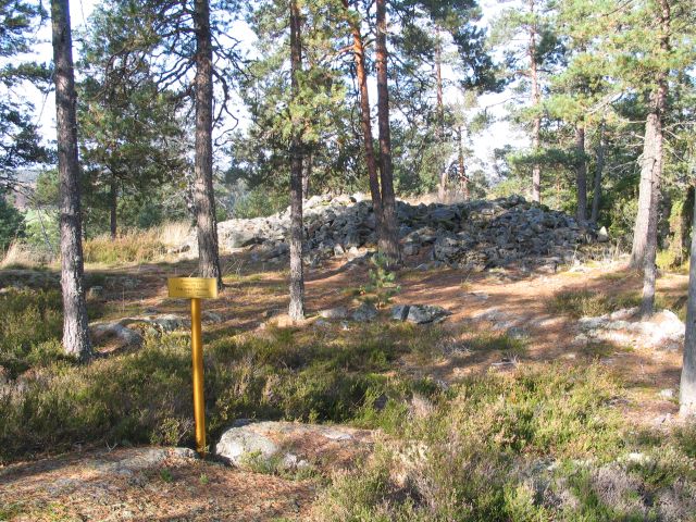 Kuva: Yksi Krejansbergetillä olevista pienemmistä hautaröykkiöistä. Kaisa Lehtonen 2005