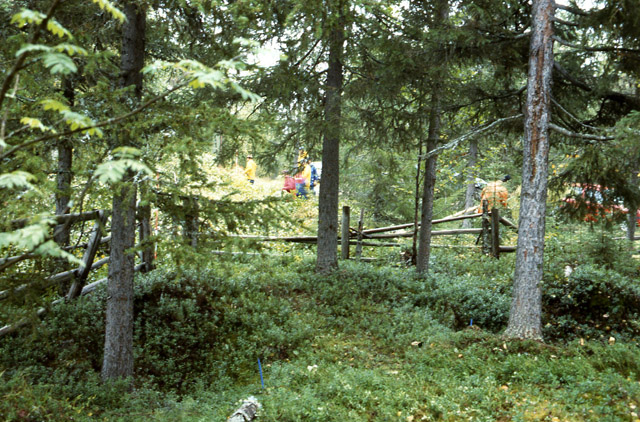 Kuva: Hautakuoppia kalmistoalueella. Aki Arponen 1993