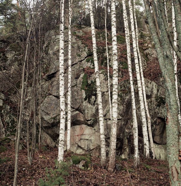 Kuva: Pälkäneen Salminkallion kalliomaalaus, näkymä kohti maalauskalliota. Ismo Luukkonen 2003
