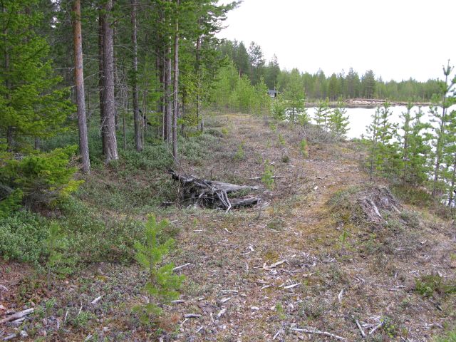 Kuva: Pyyntikuoppa Kitisen nykyaltaan reunassa, etelästä. Kaarlo Katiskoski 2.6.2008