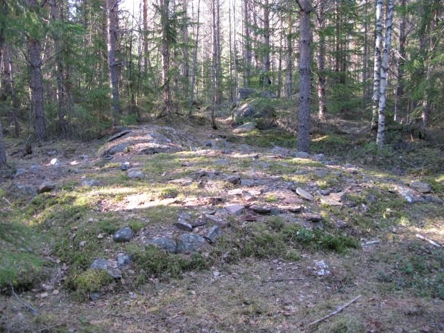 Kuva: Punalaattalatomus metsäisessä rinteessä. Pohjoisesta. Sirkka-Liisa Seppälä 11.5.2009