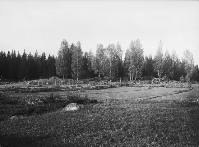 Kuva: Isonkylän Peltomaan (pääasiassa pronssikautisia) hautaraunioita. Aarne Äyräpää 1934