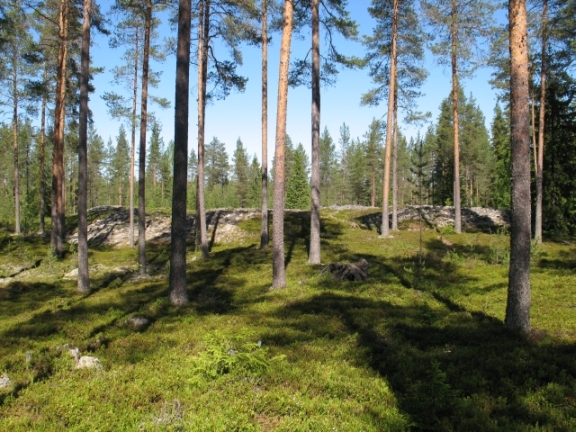 Yleiskuva jätinkirkosta kuvattuna etelälounaasta Kaisa Lehtonen 15.6.2010