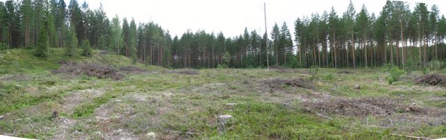 Piilolahden muinaisjäännösalue kuvattuna pohjoisesta Päivi Kankkunen 13.7.2011
