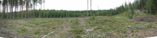 Piilolahden muinaisjäännösalue kuvattuna etelälounaasta Päivi Kankkunen 13.7.2011