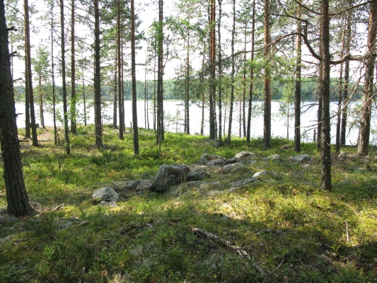 Kuva: Lapinraunio kuvattuna koillisesta. Tanja Tenhunen 19.7.2011