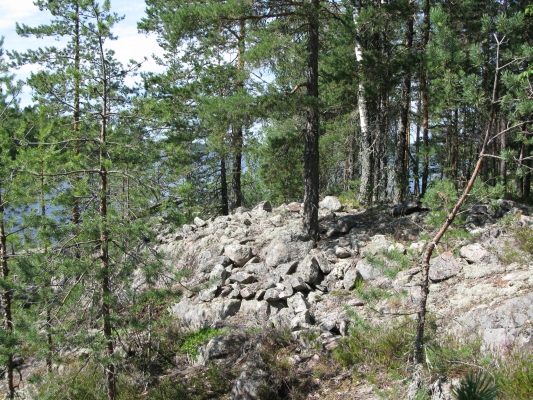 Kuva: Lapinraunio kuvattuna etelästä. Tanja Tenhunen 2011