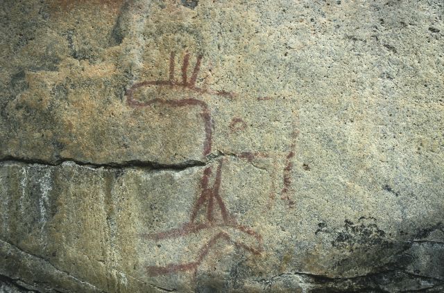 Kuva: Kalliomaalauksessa esiintyy useita hirvikuvioita. Helena Taskinen 2000