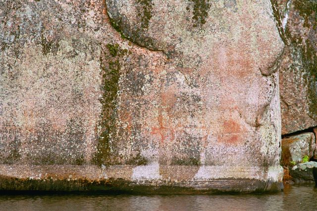 Kuva: Verlan kalliomaalauksessa on pohjoiseen etenevä hirvijono. Ismo Luukkonen 2001
