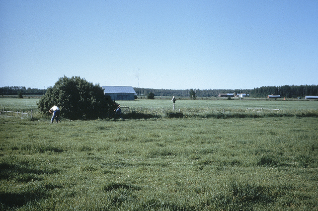 Kuva:  Aarni Erä-Esko 1982