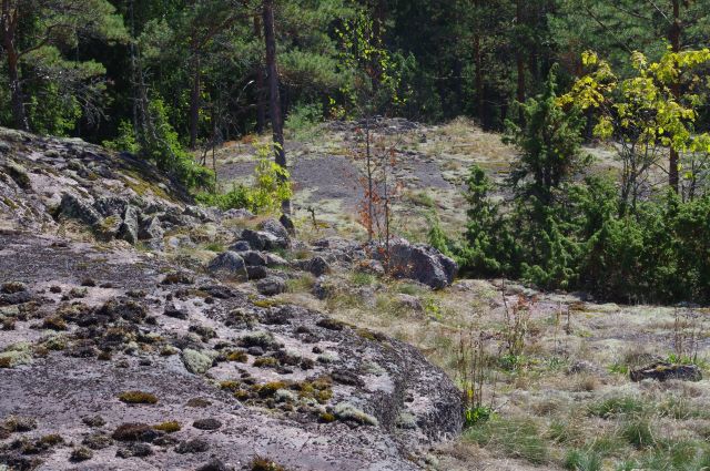 Kuva: Pyhtää, Strukankalliot. CC BY. Kymenlaakson museo Kymenlaakson maakuntamuseo
