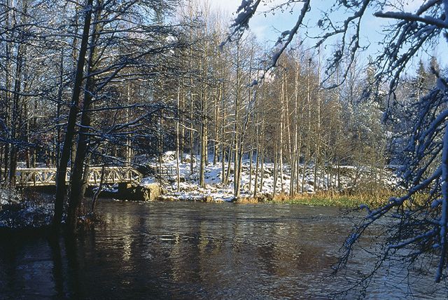 Kuva:  Jukka Moisanen 1993