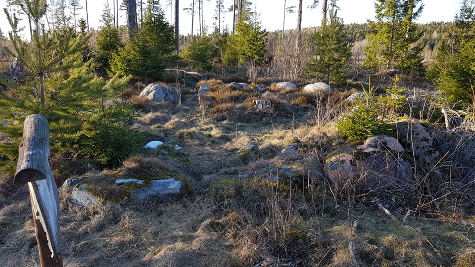 Kuva: Kehämäinen hautalatomus Tiikinkankareen kaakkoispuolella. Sinikka Kärkkäinen 29.3.2019
