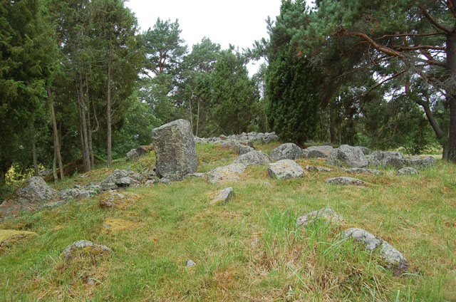 Kuva: Savemäen kalmistoalue koillisesta. Teija Tiitinen 20.7.2009