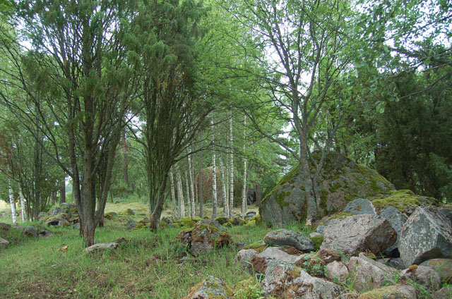 Kuva: Yleiskuva kalmistomäeltä pohjoiseen. Taustalla näkyy suuri siirtolohkare. Teija Tiitinen 20.7.2009