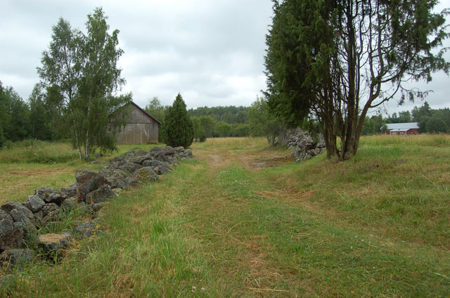 Savemäelle pohjoisesta johtavaa peltotietä. Teija Tiitinen 20.07.2009