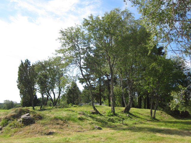 Viikinkiaikainen kalmisto B koilllisesta. Teija Tiitinen 30.06.2010