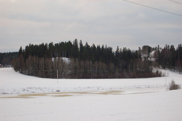 Kuva: Aittamäen kalmistomäki kuvattuna Laurilan kylästä Aurajoen pohjoispuolelta Teija Tiitinen 25.11.2008