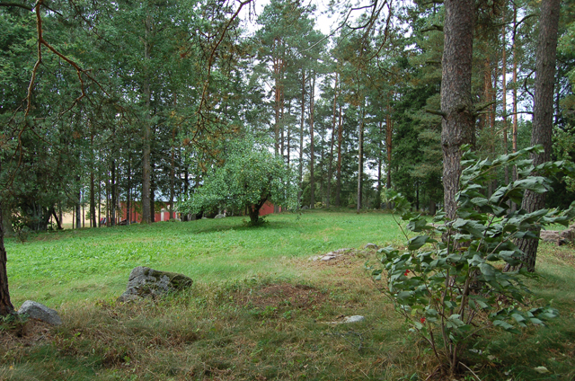 Kuva: Isotalo Aaltosen torpan paikka Teija Tiitinen 02.09.2009
