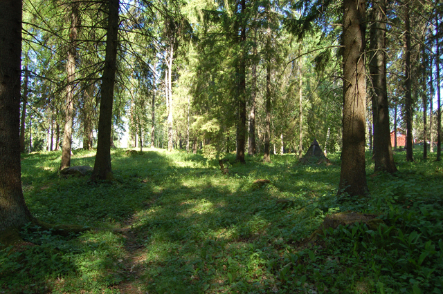 Kuva: Kappelniitty Oletettu kappelinpaikka kuvan vasemmassa laidassa. Teija Tiitinen 01.06.2009