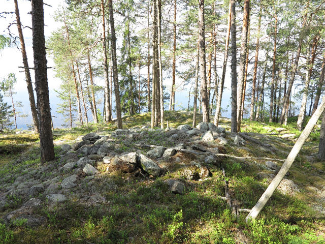 Kuva: Hoikansaaren lapinraunio sijaitsee kalliopohjalla veden läheisyydessä. Teemu Mökkönen 7.6.2019