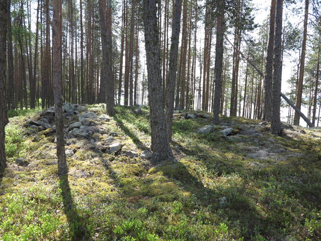 Kuva: Linjasaaren lapinraunio sijaitsee kalliolla kapean saaren pohjoispäässä. Teemu Mökkönen 7.6.2019