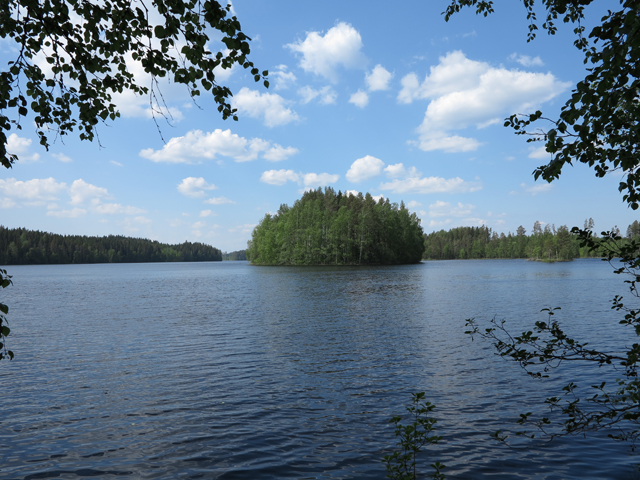 Kuva: Kalmosaari on historiallisen ajan hautasaari Pieni-Vihtari -nimisessä järvessä. Teemu Mökkönen 7.6.2019