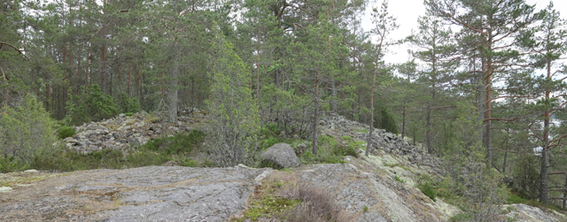 Kuva: Linnasaaren lapinraunio on osin sortunut tai levitetty rannan puolen kalliolla. Teemu Mökkönen 4.6.2019