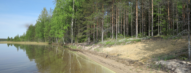 Kuva: Marketanhiekan kivikautinen asuinpaikka sijaitsee yhä veden äärellä. Teemu Mökkönen 4.6.2019