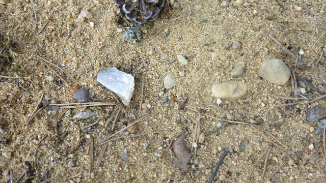 Kuva: Avoimen rantahietikon kohdalla löytöjä on havaittavissa maan pinnalla. Kuvassa iskettyä kvartsia rantahietikolta, jossa aallot ovat romauttaneet hiekkaharjannetta. Teemu Mökkönen 4.6.2019