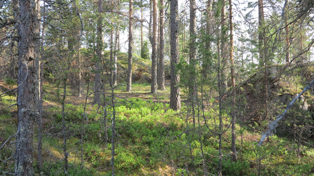 Kuva: Ihanteensalon linnavuoren laella on kallioiden välissä suojainen maapohjainen alue. Teemu Mökkönen 6.6.2019