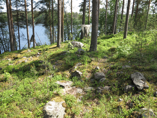 Kuva: Orivirran saarron esilinnan varvikoitunutta kehämuuria linnakkeen pohjoisreunalla. Teemu Mökkönen 7.6.2019