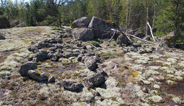 Kuva: Päkinojan isojen siirtokivien ympärille tehdyt kivistä ladotut avoimet tarhat. Teemu Mökkönen 14.5.2019