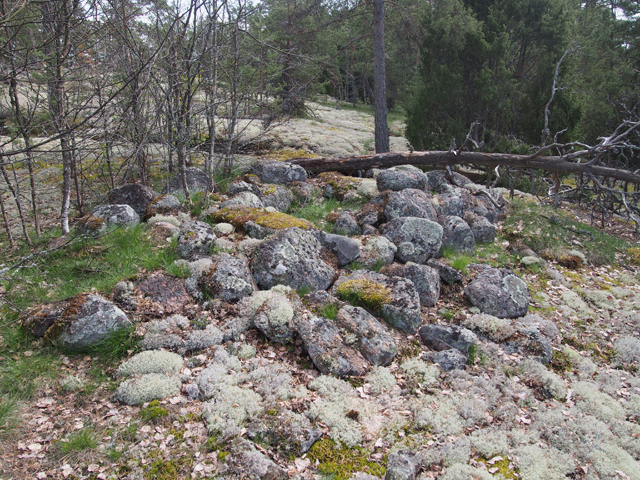 Kuva: Vähä-Harvajanniemen kalmiston reunalla sijaitsevat pienemmät töykkiöt ajoittuvat todennäköisesti rautakauden puolelle. Kuvassa pohjaltaan suorakaiteen muotoinen röykkiö. Teemu Mökkönen 14.5.2019