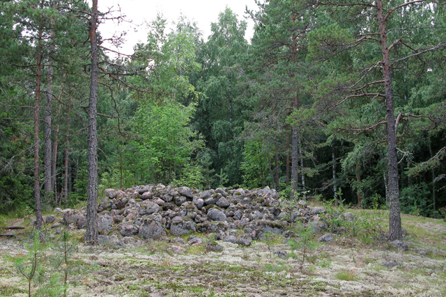 Kuva: Rantahöyterin pohjoisempi röykkiö, kuvattu pohjoisesta Helena Ranta 19.7.2011