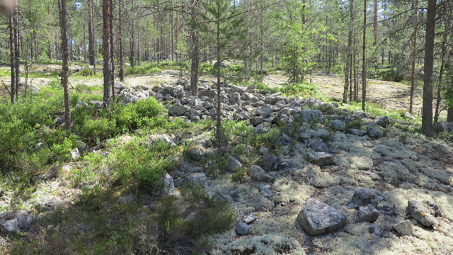 Metelinkallion lapinraunioalueen röykkiö 12:sta länsireunan kiviä on pengottu ja levitelty. Teemu Mökkönen 20.6.2019