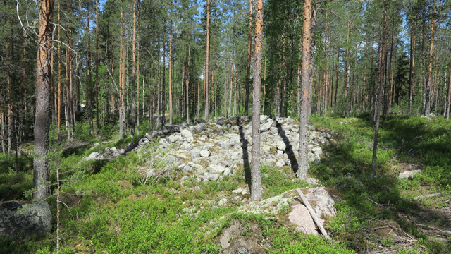 Metelinkallio on lapinraunioalueen röykkiö 13 on noin metrin korkuinen. Teemu Mökkönen 20.6.2019