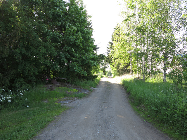 Kuva: Ristolan 1800-luvun lopulle ajoittuva karsikkokallio sijaitsee aivan kylätien veressä. Teemu Mökkönen 18.6.2019